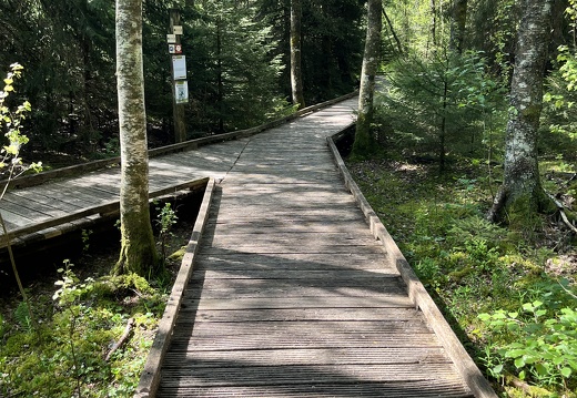 23-05-27 10-38-06 5717